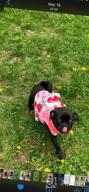 img 1 attached to KYEESE Floral Rose Dog Dresses with Flowers Decoration - Elegant Princess Dress for Small Dogs, Ideal for Spring and Summer - Puppy Apparel and Pet Clothing review by Eric Jenkins
