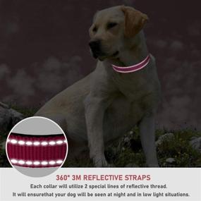 img 1 attached to Enhanced Safety Reflective Dog Collar with Locking Buckle - Adjustable, Soft Neoprene Padded Nylon for Small Medium Large Dogs - 4 Sizes Available