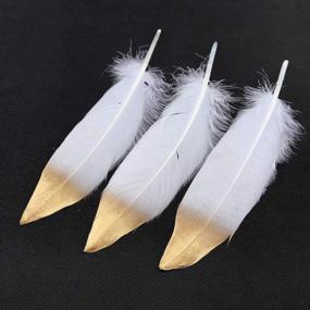 img 2 attached to Sowder Natural Goose Feathers Clothing Accessories Pack Of 50 (Gold Dipped White)