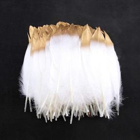 img 4 attached to Sowder Natural Goose Feathers Clothing Accessories Pack Of 50 (Gold Dipped White)