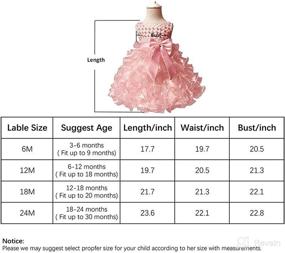 img 3 attached to 👗 Jup Elle Baby Girl Ruffle Lace Pageant Party Wedding Flower Girl Dress