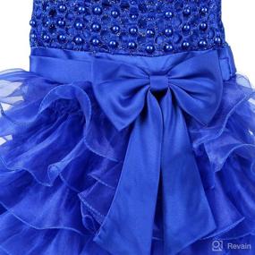 img 1 attached to 👗 Jup Elle Baby Girl Ruffle Lace Pageant Party Wedding Flower Girl Dress