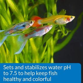 img 2 attached to 🐟 API Proper pH 7.5 Freshwater Aquarium Water pH Stabilizer - 9.2 oz Container, Proper pH 7.5 Powder JAR - Small