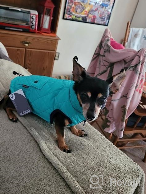 img 1 attached to Winter Dog Coat For Small Breeds - Cozy Cotton Pet Clothes For Cold Weather, Stylish And Warm Puppy Jacket, Windproof For Hiking, Travel And Outdoor Walks - Dark Blue Color In Size M review by Hank Mistretta