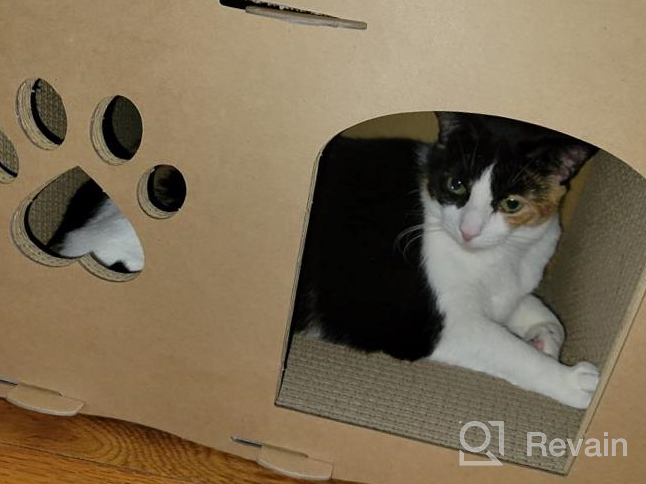 img 1 attached to Large Cat House For Cats & Kitties - Petique Feline Penthouse Three Level Cardboard Kitty House review by Anthony Montgomery