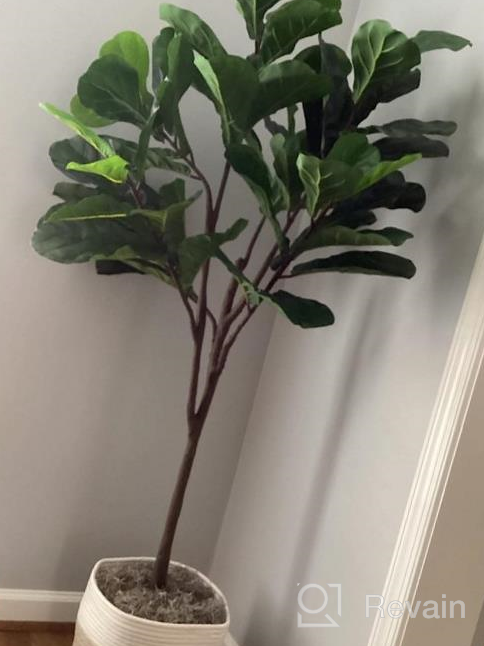 img 1 attached to 2Pack 6Ft Tall Artificial Fiddle Leaf Fig Tree With 86 Decorative Faux Leaves For Home Office Living Room Bathroom Corner Decor Indoor - VIAGDO review by Mensur Long