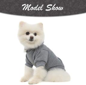 img 1 attached to 🐾 Cozy and Functional Basic Dog Hoodie - Keep Your Furry Friend Stylishly Warm with a Leash Hole, Pocket, and XS-XXL Sizes