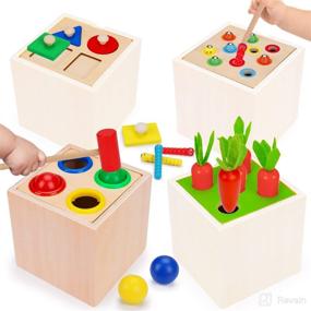 img 4 attached to Wooden Montessori Toys - 4-in-1 Pound A Ball Carrot, Harvest Catch Insect Shape Puzzle Set - Early Development Toys for Babies 6-12 Months and 12-18 Months - Fine Motor Skills Toys for 1 and 2 Year Old Boys and Girls - Ideal Baby Gifts