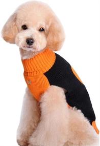 img 2 attached to 🎃 Halloween Pumpkin Cat Dog Sweater: BOBIBI Pet Clothes for Small Pets, Dog Knitwear & Apparel