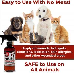 img 1 attached to Vet-Formulated PetSilver Chelated Silver Wound & Skin Spray - All-Natural Formula For Hot Spots, Wounds, Rashes, And Skin Issues - Pain-Free Relief - 12 Fl Oz - Made In The USA