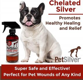 img 2 attached to Vet-Formulated PetSilver Chelated Silver Wound & Skin Spray - All-Natural Formula For Hot Spots, Wounds, Rashes, And Skin Issues - Pain-Free Relief - 12 Fl Oz - Made In The USA