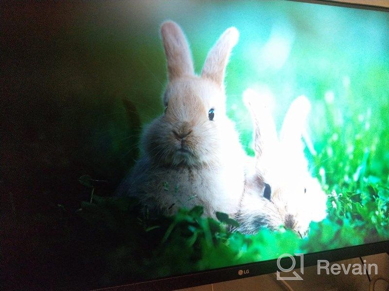 img 1 attached to LG 32UN650-W 32-Inch 3840x2160P Borderless Monitor with Adaptive Sync, Anti-Glare Screen, High Dynamic Range (HDR) review by Jose Ward