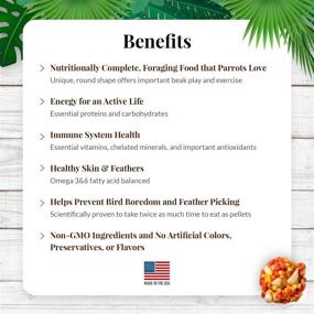 img 1 attached to 🥭 Lafeber Tropical Fruit Nutri-Berries: Premium Non-GMO Parrot Food with Human-Grade Ingredients