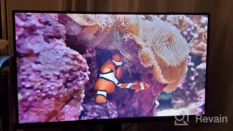 img 1 attached to ASUS VG28UQL1A 144HZ Gaming Monitor: Curved 4K Display with Flicker-Free Technology, Anti Glare Screen, and Blue Light Filter review by Tommie Reyes