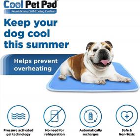 img 3 attached to Green Pet Shop Medium Dog Cooling Mat - Pressure Activated Cooling Pad For Dogs And Cats, Ideal For 21-45 Lb. Pets - Safe And Non-Toxic Gel, No Water Required