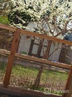img 1 attached to Secure Your Garden With Gardman R649 Fencing - 5' X 1' review by Randy Perry