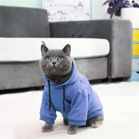 img 1 attached to 🐶 Pet Sregno Medium Dogs Hoodie: Warm Casual Sweatshirt for Autumn - Blue L