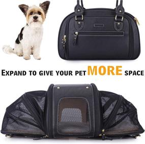 img 3 attached to 🐾 Medium Black PetsHome Dog Carrier - Expandable Foldable Airline Approved Leather Pet Travel Portable Bag for Cats and Small Dogs - Home & Outdoor Pet Carrier for Better SEO