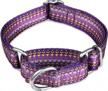 dazzber puppy collar martingale dog collar - no pull anti-escape pet collar for small dogs, adjustable 10 inch to 15 inch, dark purple logo