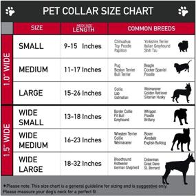 img 2 attached to Buckle Down Seatbelt Dog Collar Dogs ~ Training & Behavior Aids