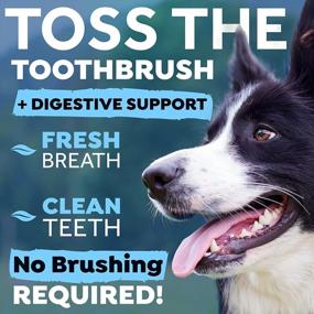 img 3 attached to TropiClean Fresh Breath Dental Water Additive - 16Oz Bottle For Digestive Support And Long-Lasting Dog Breath Freshness