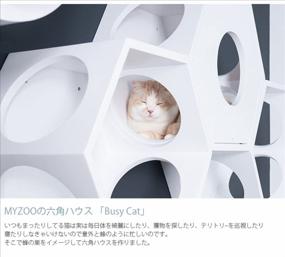 img 2 attached to Wall-Mounted White Cat Bed: MYZOO Busycat - Wooden Cat Furniture With Floating Perch, Tree And Shelves