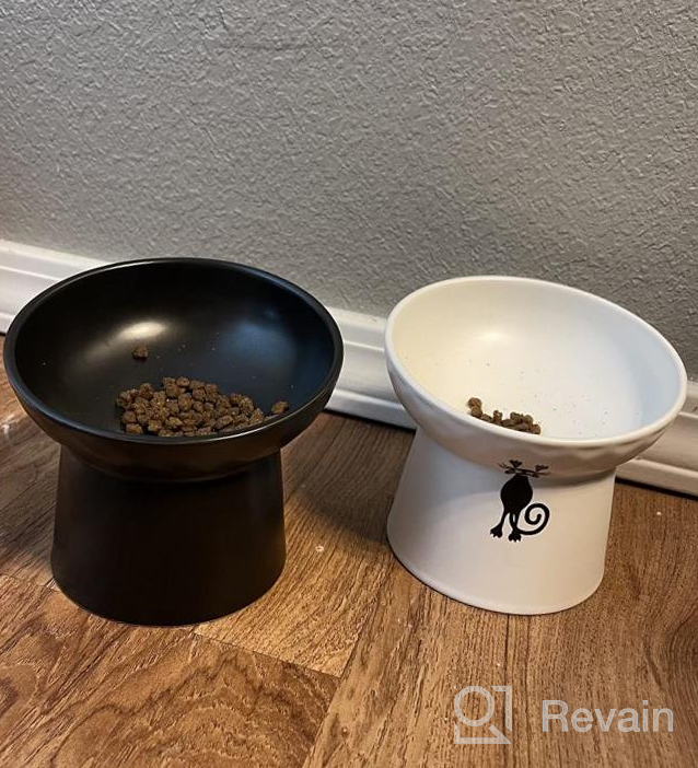 img 1 attached to Set Of 2 Ceramic Raised Cat Bowls - Tilted Elevated Pet Feeder Dish For Cats & Small Dogs, Stress Free, Microwave & Dishwasher Safe review by Matt Barsa