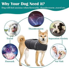 img 1 attached to 🐶 Zeaxuie Dog Anxiety Vest: Calming Coat for Small, Medium & Large Dogs-M-Gray