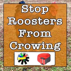 img 2 attached to 🐓 6 Pack No Crow Rooster Collar: Silence Roosters with Velcro Nylon Neck Belt, Prevent Noisy Crowing & Disturbing Neighbors