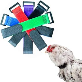 img 4 attached to 🐓 6 Pack No Crow Rooster Collar: Silence Roosters with Velcro Nylon Neck Belt, Prevent Noisy Crowing & Disturbing Neighbors