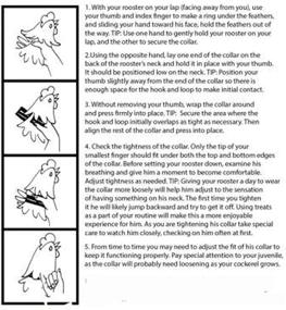 img 1 attached to 🐓 6 Pack No Crow Rooster Collar: Silence Roosters with Velcro Nylon Neck Belt, Prevent Noisy Crowing & Disturbing Neighbors