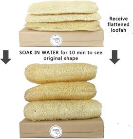 img 3 attached to 🚿 Miw Piw Natural Whole Loofah 3 PCS: The Ultimate Exfoliating Body Scrubber and Dead Skin Remover for a Zero Waste, Energizing Bath and Shower Experience