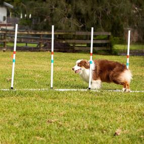 img 1 attached to 🐶 Midlee Dog Agility Basic Set - Hoop Jump, Weave Poles, and Bar Jump