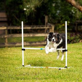 img 2 attached to 🐶 Midlee Dog Agility Basic Set - Hoop Jump, Weave Poles, and Bar Jump