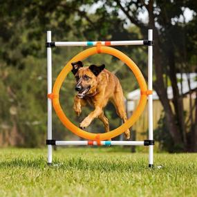 img 3 attached to 🐶 Midlee Dog Agility Basic Set - Hoop Jump, Weave Poles, and Bar Jump