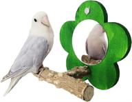 🐦 bigcake bird mirror with perch: the perfect natural parrot stand and toy set for small parrots, canaries, parakeets, cockatiels, lovebirds, conures, lorikeets, budgies, cockatoos, finches (green) logo