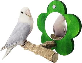 img 4 attached to 🐦 BIGCAKE Bird Mirror with Perch: The Perfect Natural Parrot Stand and Toy Set for Small Parrots, Canaries, Parakeets, Cockatiels, Lovebirds, Conures, Lorikeets, Budgies, Cockatoos, Finches (Green)