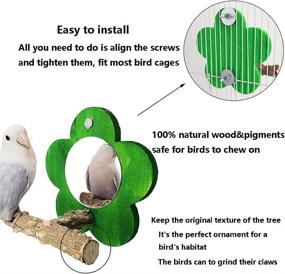 img 3 attached to 🐦 BIGCAKE Bird Mirror with Perch: The Perfect Natural Parrot Stand and Toy Set for Small Parrots, Canaries, Parakeets, Cockatiels, Lovebirds, Conures, Lorikeets, Budgies, Cockatoos, Finches (Green)