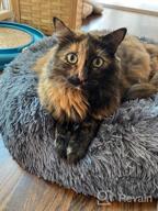 картинка 1 прикреплена к отзыву Topmart Plush Calming Dog Bed: Washable Cat Donut Bed For Small Dogs & Cats - Anti-Anxiety Faux Fur Donut Cuddler - 30" × 30" Beige от Ali Lariosa