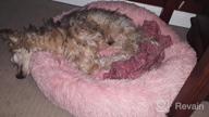 img 1 attached to Calming Dog Bed Donut For Small And Medium Pets - Anti-Anxiety Fluffy Bed By NOYAL review by Marquel Rubio