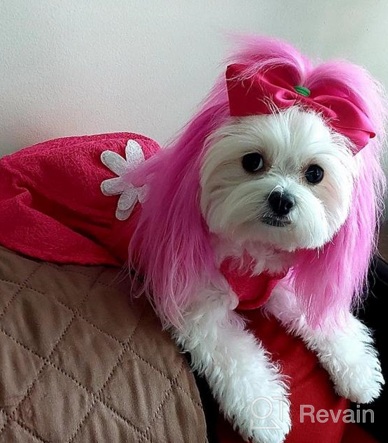 img 1 attached to 🐶 CuteBone Dog Dress with Harness D-Ring for Small Dogs, Wedding Cat Clothes, Girl Puppy Outfit in Pink, Shirt Flower Costume with Bow Hair Rope DW02M: Summer Fashion Must-Have review by Sedric Hood