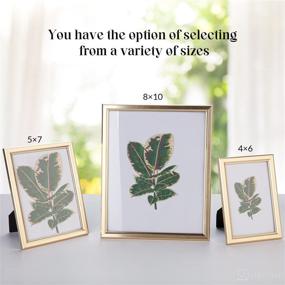 img 1 attached to 🖼️ Matte Gold 8x10 Picture Frames with HD Glass - Set of 5 for Wall Decor, Wedding & Dorm Decor, Tabletop Display