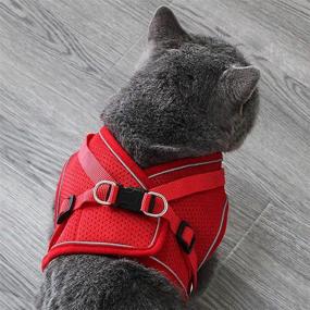 img 2 attached to 🐾 Escape Proof Puppy Harness and Leash Set: Red, Adjustable, Reflective Step-in Design for Small Dogs and Cats