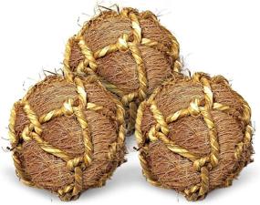 img 1 attached to 🦜 SunGrow Coco Fiber Rope Ball: Improve Parrot Dental Health with Teeth Floss Chew Toy, Boredom Buster & Stress Reliever