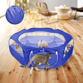 img 4 attached to 🐾 Portable Small Animal Pet Playpen with Zippered Cover - Jhua Foldable Pet Cage Tent, Breathable & Waterproof Pop up Pet Fence for Guinea Pig, Kitten, Hamster, Rabbit, Chinchillas