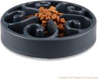 wangstar slow pet bowl: the perfect solution for slow feeding and bloat prevention for dogs and cats logo
