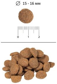 img 1 attached to Dry dog ​​food Blitz Sensitive, pork, turkey, with barley 1 pack. x 1 pc. x 15 kg