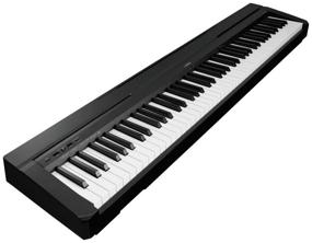 img 1 attached to Yamaha P-45B - Digital Piano