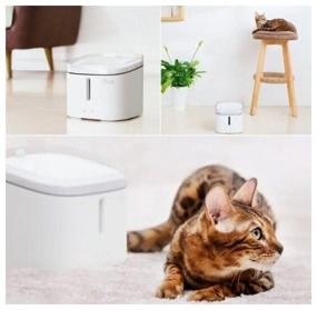img 3 attached to Xiaomi Kitten&Puppy Pet Water Dispenser White