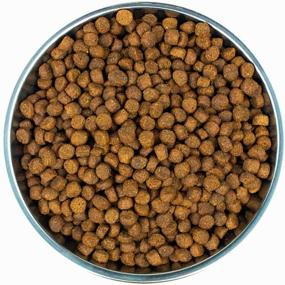 img 1 attached to Dry food for sterilized cats Wellness CORE Grain Free Cat Sterilized with chicken and turkey, 4 kg